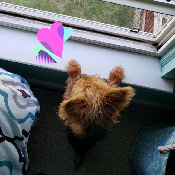 🥰👕👚👞👠👶👦👧👨👩👴👵👛🎒👖🥻🥰 - Picture 4 of 4